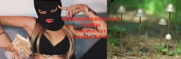 твердый Абаза