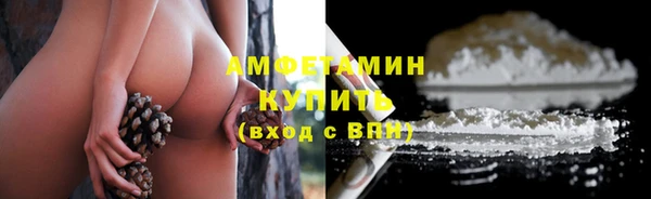 твердый Алзамай