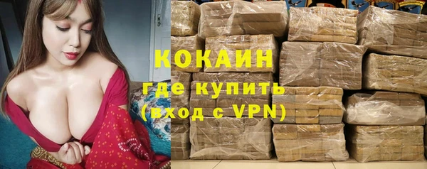 дживик Аркадак