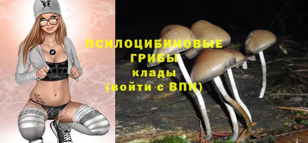 твердый Абаза
