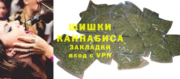 индика Абдулино