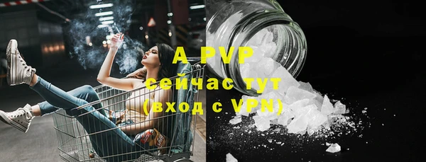 твердый Абаза