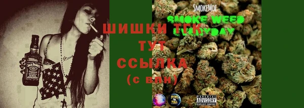 индика Абдулино